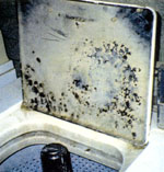 Before - Washer