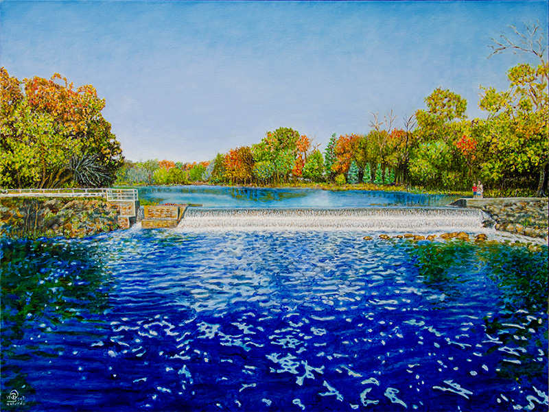 Portrait of a Waterfall by Rafael Gallardo