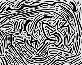 Zebra by Rafael Gallardo